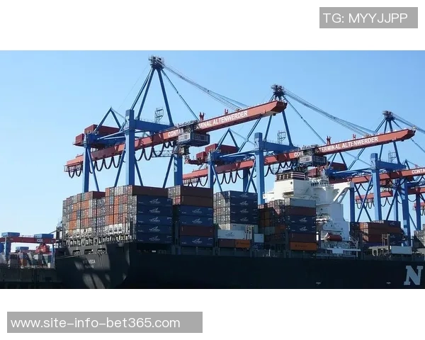 海港俱乐部关注杨希引援动态徐彬留洋前景复杂需谨慎评估